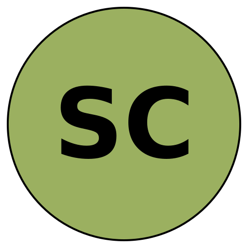 SavvyCareer